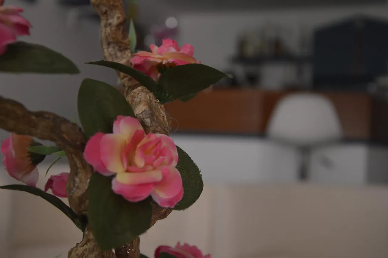 Hotel Fucsia Riccione